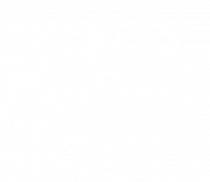 EumeCan Peluquería Canina